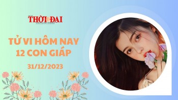 tu vi hom nay 12 con giap 31122023 ty tai tinh chieu menh ngay cuoi nam