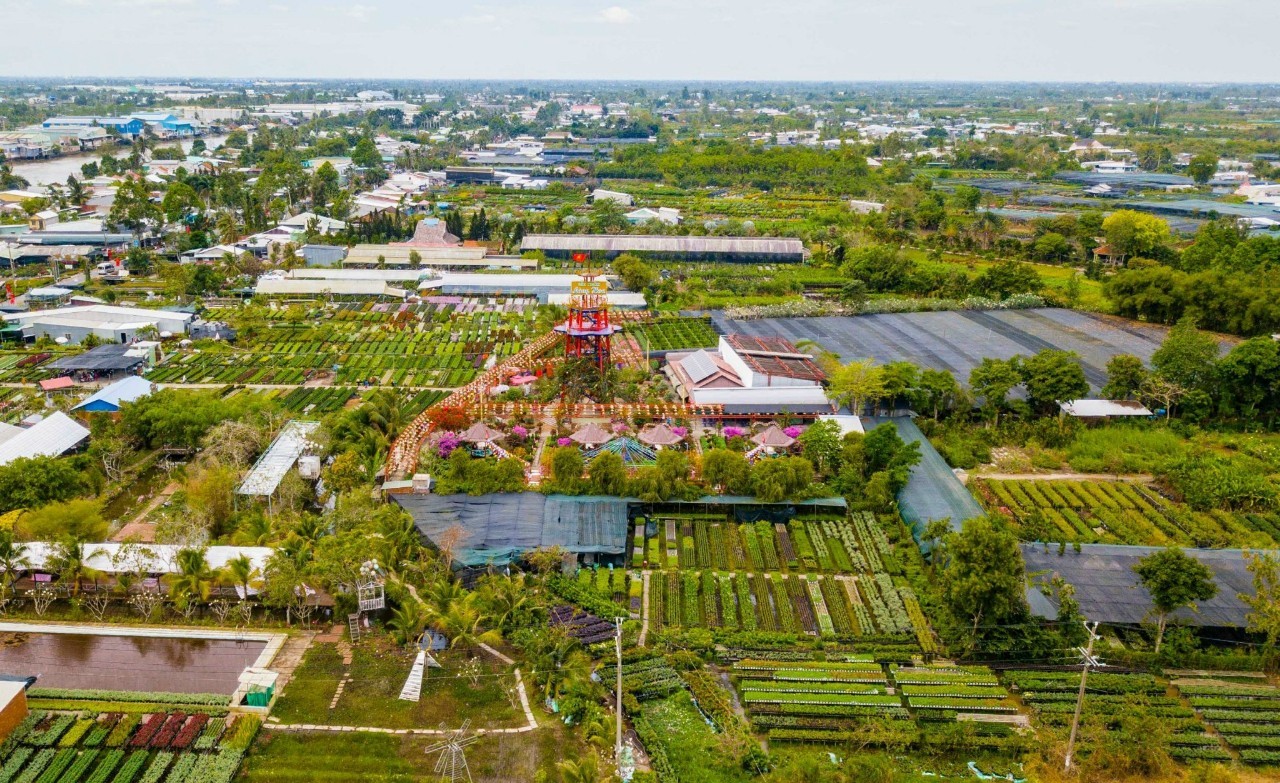 Khai mạc Festival Hoa - Kiểng Sa Đéc “Tình đất - Tình hoa”