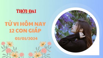 tu vi hom nay 12 con giap 312024 ty vo cung thuan loi tien bac un un keo ve