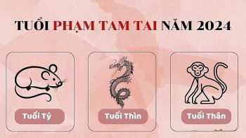 nhung tuoi pham tam tai nam giap thin 2024 hao tai ton cua song gio trien mien