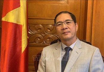 cung co va vun dap hon nua moi quan he chinh tri tot dep giua bulgaria va viet nam