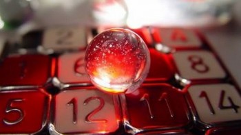 con so may man hom nay 1412024 12 con giap tuat vo cung may man