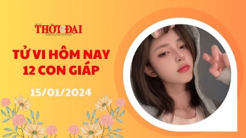 tu vi hom nay 12 con giap 1512024 mui gap rac roi su nghiep lao dao