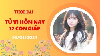 tu vi hom nay 12 con giap 1612024 ty lao dao dan tien vao nhu nuoc