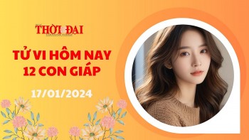tu vi hom nay 12 con giap 1712024 mui don nhan nguon tien doi dao