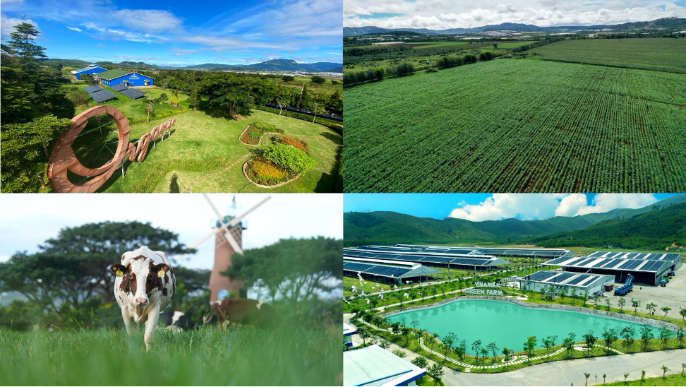 trang trai green farm trung hoa carbon nhung buoc chan dau tien cua vinamilk trong lo trinh den net zero