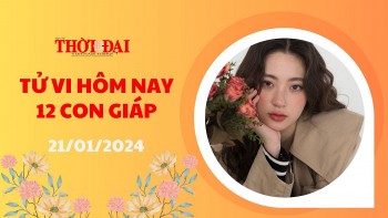 tu vi hom nay 12 con giap 2112024 thin gap rui ro tai chinh