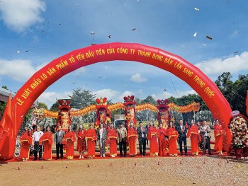 xuat khau chinh ngach lo san pham to yen dau tien cua tinh dak lak sang thi truong trung quoc