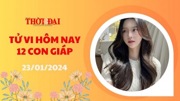 tu vi hom nay 12 con giap 2312024 dan may man bat ngo voi tro may rui