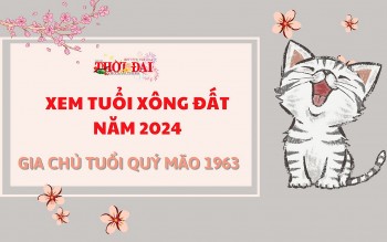 tuoi xong dat nam 2024 cho gia chu tuoi quy mao 1963