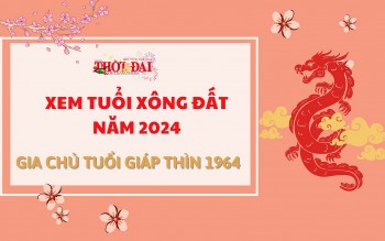 tuoi xong dat nam 2024 cho gia chu tuoi giap thin 1964
