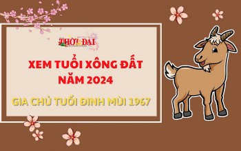 tuoi xong dat nam 2024 cho gia chu tuoi dinh mui 1967