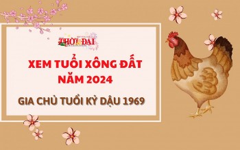 tuoi xong dat nam 2024 cho gia chu tuoi ky dau 1969
