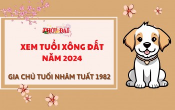 tuoi xong dat nam 2024 cho gia chu tuoi nham tuat 1982
