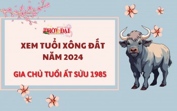 tuoi xong dat nam 2024 cho gia chu tuoi at suu 1985