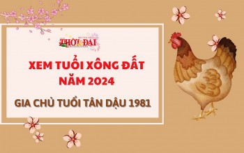 tuoi xong dat nam 2024 cho gia chu tuoi tan dau 1981
