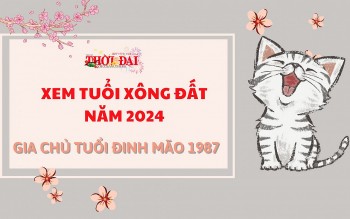 tuoi xong dat nam 2024 cho gia chu tuoi dinh mao 1987