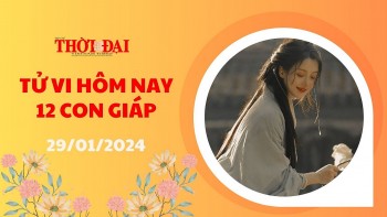 tu vi hom nay 12 con giap 2912024 ti gap nhieu van may mui xuat hien diem bao xau