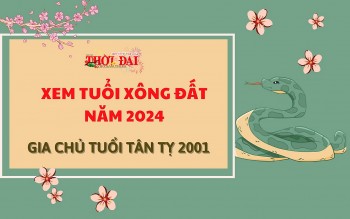 Tuổi xông đất năm 2024 cho gia chủ tuổi Tân Tị 2001