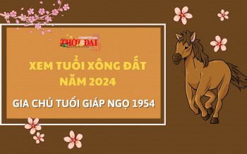 tuoi xong dat nam 2024 cho gia chu tuoi giap ngo 1954