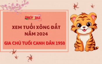 tuoi xong dat nam 2024 cho gia chu tuoi canh dan 1950