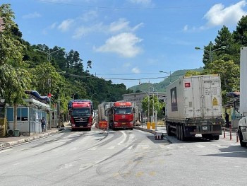 cac cua khau tai lang son mong cai quang ninh thong quan hang hoa tro lai