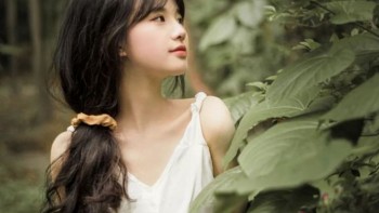 tu vi hom nay 12 cung hoang dao 2622024 su tu nhan tin vui ve cong viec