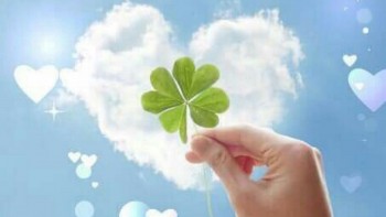 con so may man hom nay 2922024 12 con giap ngay cuoi thang ai may man nhat