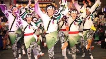 le hoi nhat viet lan thu 9 tai tphcm dien ra tu ngay 9 103