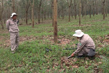 npa tap huan boi duong cho toan bo cac nhan vien hien truong