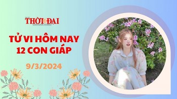 tu vi hom nay 12 con giap 932024 hoi cham tay vao thanh cong