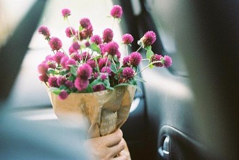 tu vi hom nay 12 cung hoang dao 1532024 bao binh gap nhieu rac roi