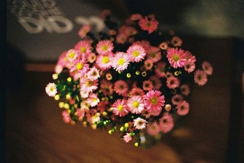 tu vi hom nay 12 cung hoang dao 1832024 song tu nam bat co hoi lam giau trong gang tac