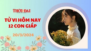 tu vi hom nay 12 con giap 2032024 dau may man vuot bac