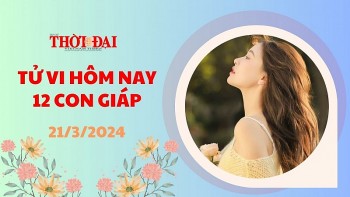 tu vi hom nay 12 con giap 2132024 ty may man du duong