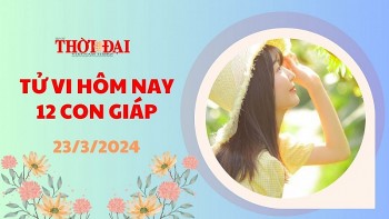 tu vi hom nay 12 con giap 2332024 ty tranh doi dau voi cap tren