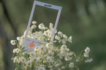 tu vi hom nay 12 cung hoang dao 2032024 kim nguu co co hoi toa sang