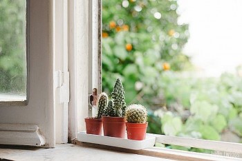 tu vi hom nay 12 cung hoang dao 2332024 nhan ma de y loi an tieng noi