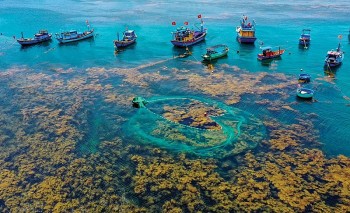 lan toa tinh yeu bien dao den can bo dang vien va nhan dan tphcm