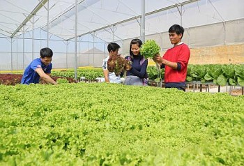 viet nam nga tang cuong hop tac khoa hoc va dao tao trong nong nghiep