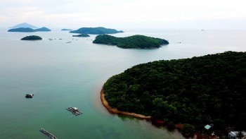 Khởi động Dự án bảo vệ hệ sinh thái ven biển vùng Đồng bằng sông Cửu Long