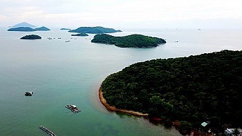 Khởi động Dự án bảo vệ hệ sinh thái ven biển vùng Đồng bằng sông Cửu Long