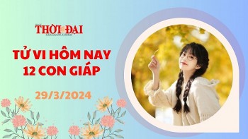 tu vi hom nay 12 con giap 2932024 hoi de phong ke xau ham hai