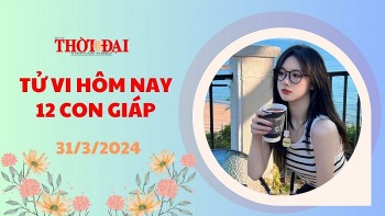 tu vi hom nay 12 con giap 3132024 mao may man du duong