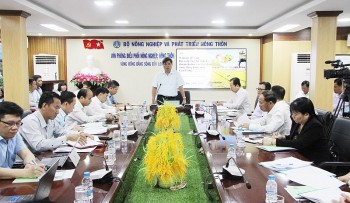 375 trieu usd ho tro ha tang ky thuat cho lua carbon thap vung dong bang song cuu long