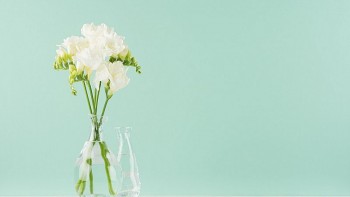 tu vi hom nay 12 cung hoang dao 142024 kim nguu trai nghiem thu thach moi