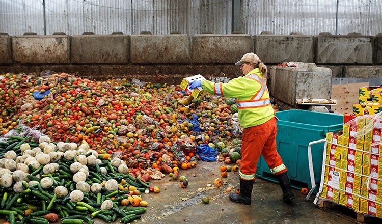 Liên hợp quốc: Hơn 1 tỷ bữa ăn bị lãng phí mỗi ngày