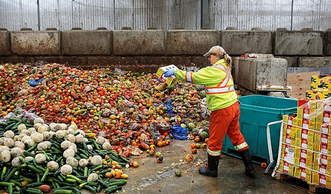 Liên hợp quốc: Hơn 1 tỷ bữa ăn bị lãng phí mỗi ngày
