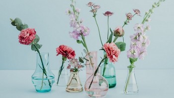 tu vi hom nay 12 cung hoang dao 642024 song tu may man vuot bac