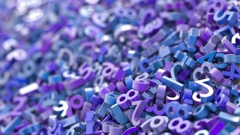 con so may man hom nay 1342024 12 con giap hoi than tai go cua